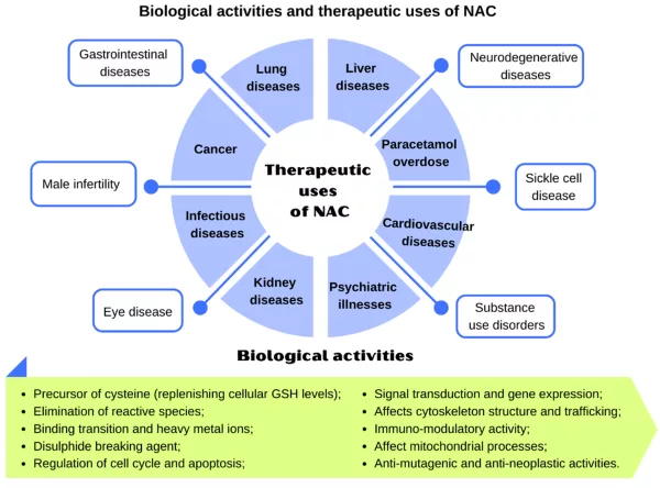 NAC antioxidant and anti-inflammatory health benefits